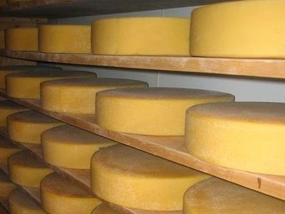 Сыр оптом в Москве