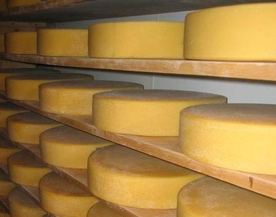 Сыр оптом в Москве